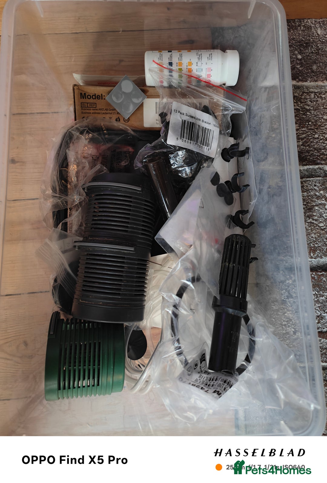 Cichlids fish for sale: Professional tropical aquarium set up - Image 16