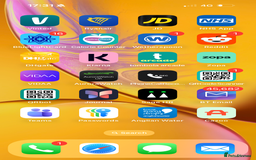 Mixed Breed cats for sale: Kittens 4 sale - Advert 13