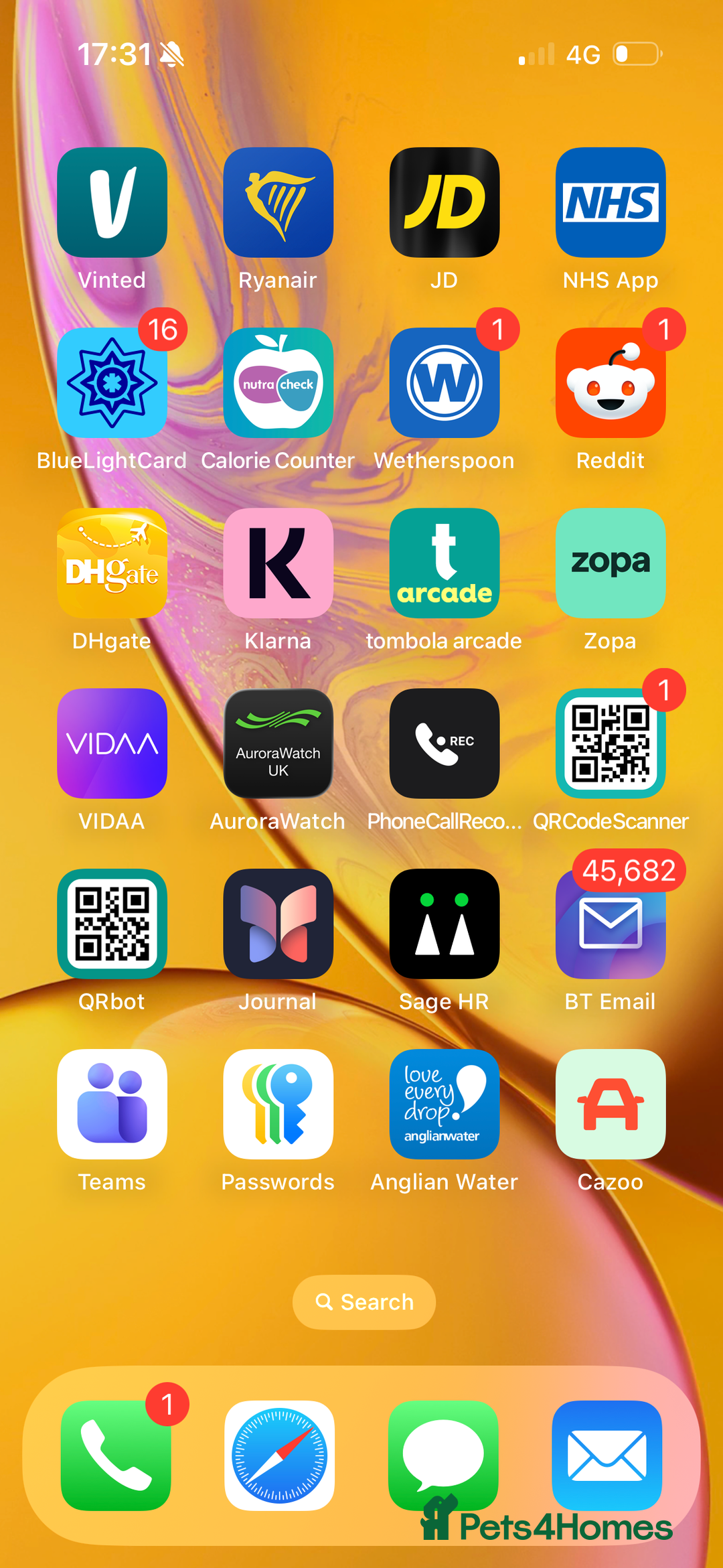 Mixed Breed cats for sale: Kittens 4 sale - Advert 13