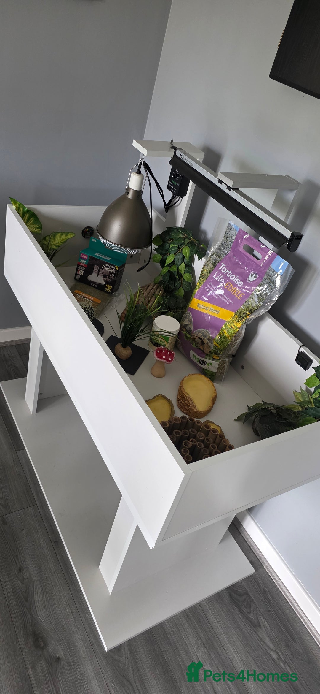 Hermann Tortoise reptiles for sale: Tortoise table full set up - Image 5