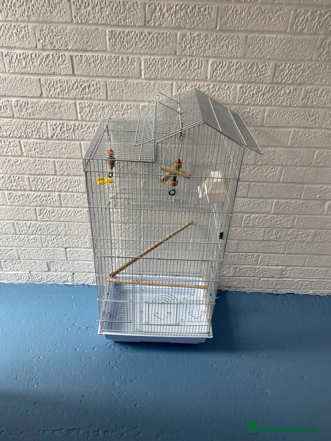 Budgerigars birds for sale: Bird cage with free Budgie in Leamington Spa - Advert 3