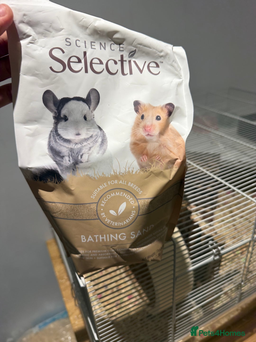 Gerbil rodents for sale: Two male gerbils to be rehomed asap - Image 5