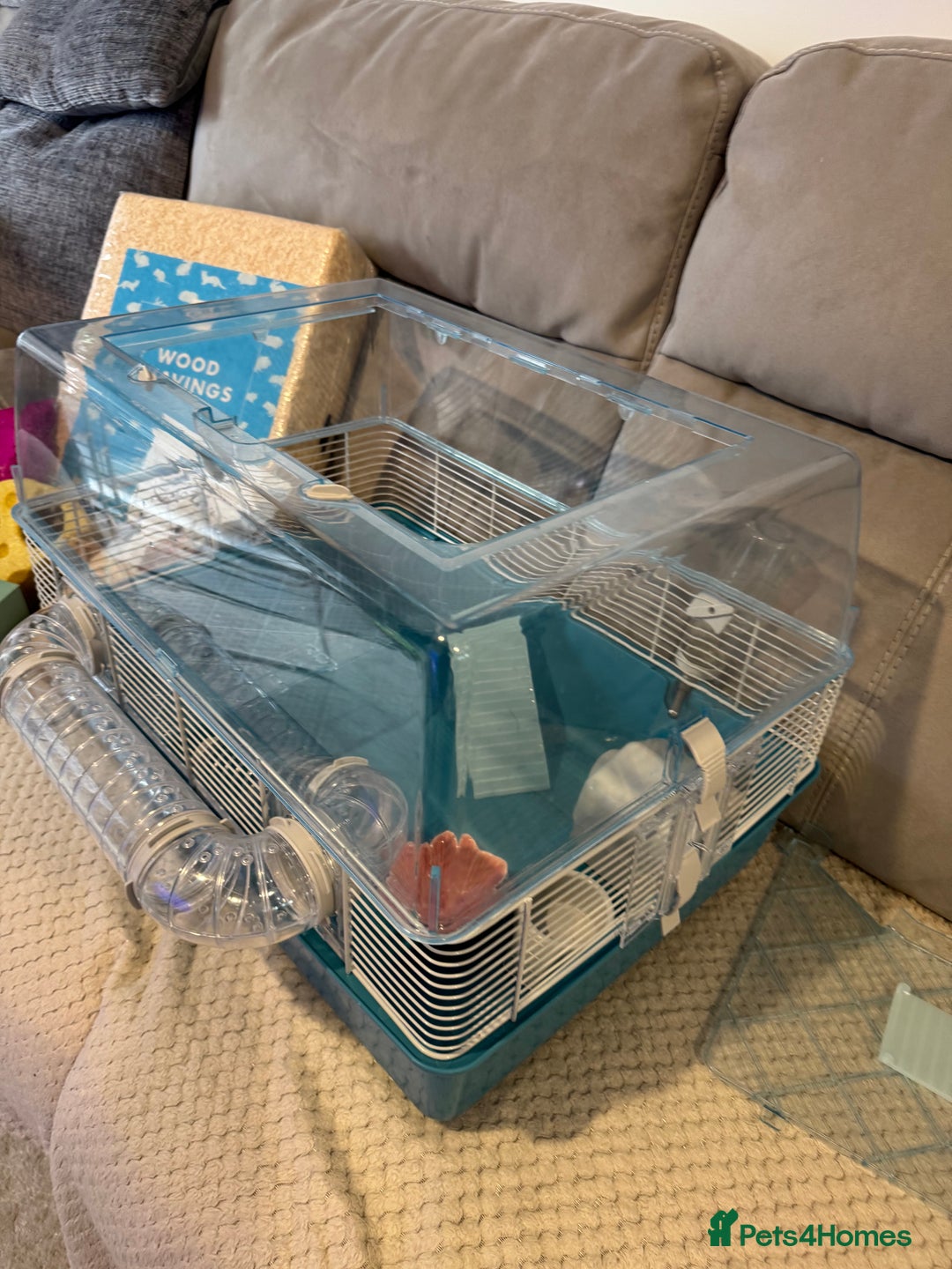 Hamster rodents for sale: Hamster cage set up with everything u need - Image 3