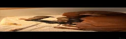 Miniature Dachshund dogs for sale: Miniature dachshund puppys  - Advert 1