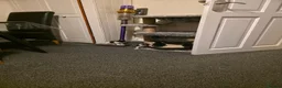 Domestic Shorthair cats for sale: Domestic in Wolverhampton - Advert 4