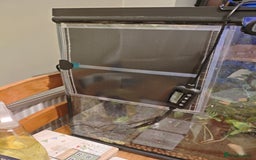 Gecko reptiles for sale: Crested gecko and setup - Image 10