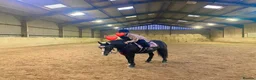 Fell horses for sale: Tammy WelshXFell cob mare in Morpeth - Advert 10