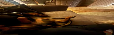 Dobermann 1