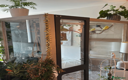 Budgerigars birds for sale: 5 Budgies and an aviary for sale - Advert 2