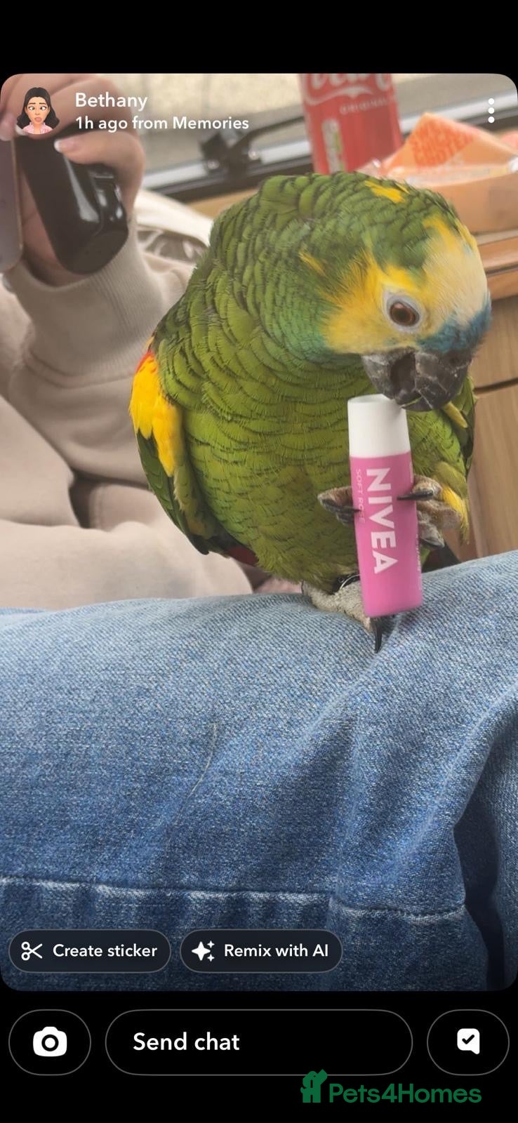 Parrots birds for sale: Amazon blue fronted parrot 7 years old  - Advert 1