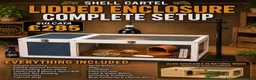 Tortoise reptiles for sale: BABY SULCATAS & SET UPS - Advert 5