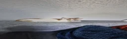 Domestic Shorthair cats for sale: Kittens for sale - Advert 5