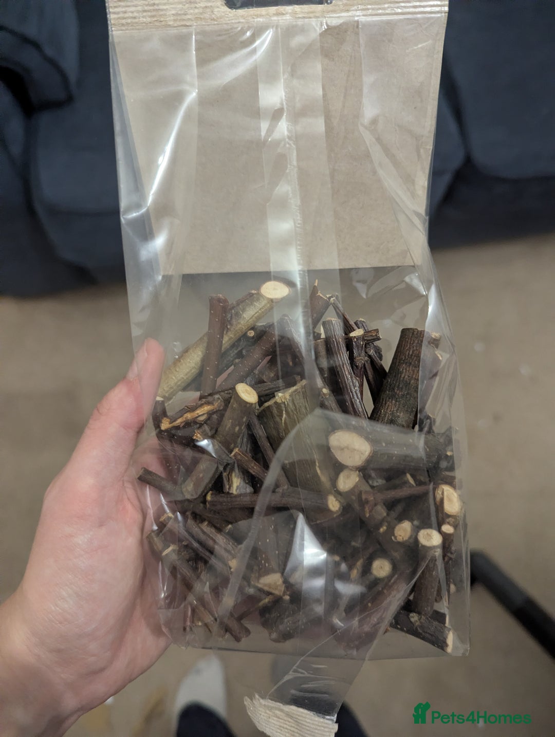 Mini Lop rabbits for sale: Mini Lop for a good home 🥰 - Image 21