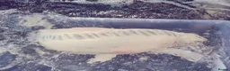 Koi Carp fish for sale: Koi carp  in Welwyn - Advert 2