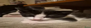 Charlie