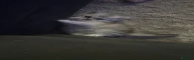 British Longhair 3