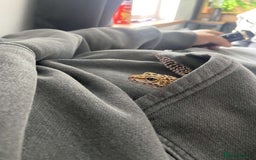 Leopard Gecko reptiles for sale: leopard gecko with full set up  - Image 2