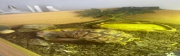 Tortoise reptiles for sale: Leopard Tortoise in Bristol - Advert 1