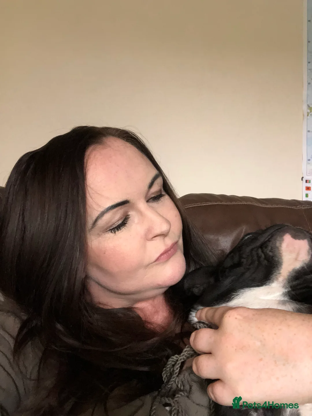 Gallery Image {{count}}