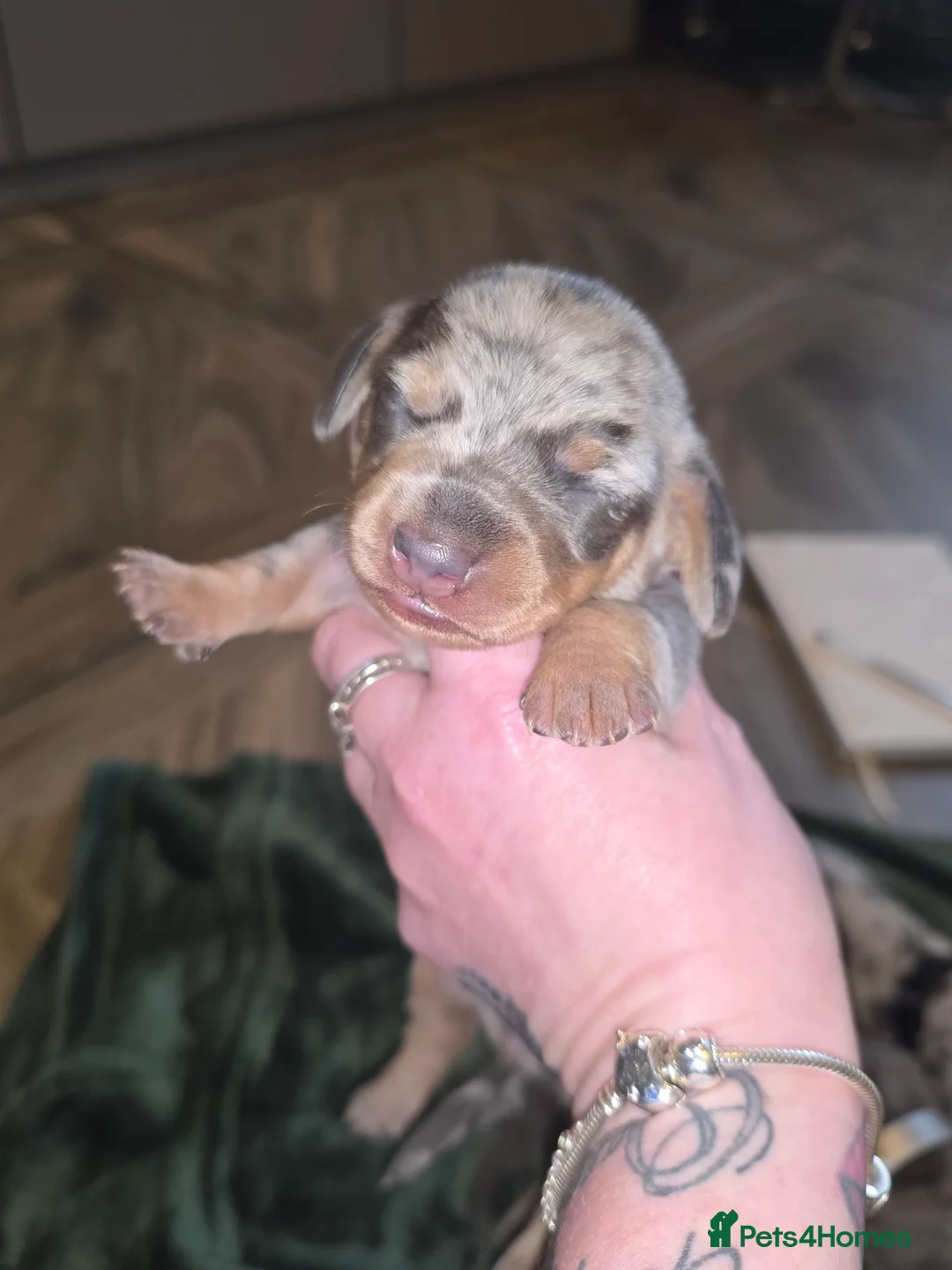 Gallery Image {{count}}