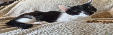 Trevor 