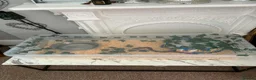 Python Snake reptiles for sale: Female ball python  - Advert 2