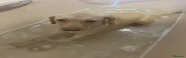 Ethan