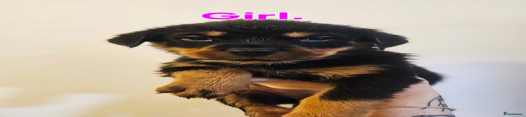 Girl 5 