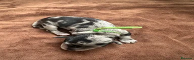 Green collar