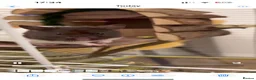 Hamster rodents for sale: Donating Syrian Hamster in Borehamwood - Advert 2
