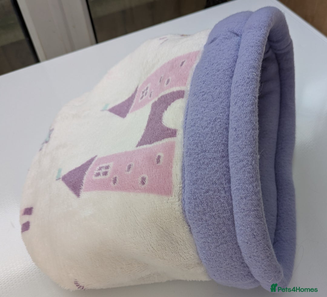 Guinea Pig rodents for sale: Guinea pig/rabbit snuggle sock/bedding  - Image 5