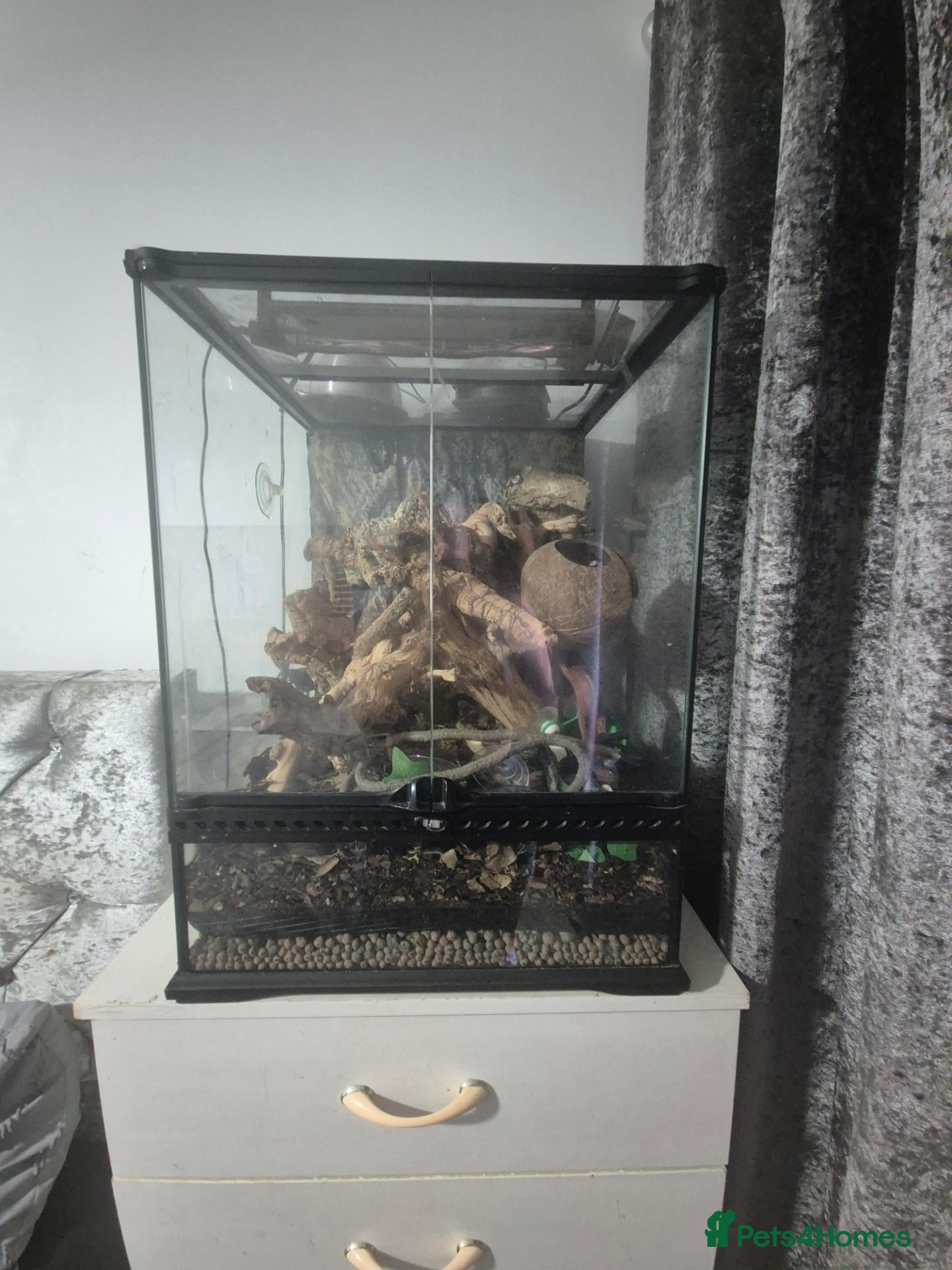 Gecko reptiles Exo terra 45x45x60 tall glass tank - Advert 1