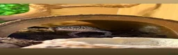 Gecko reptiles for sale: Leopard Gecko in need of a new home  in Banbury - Advert 1