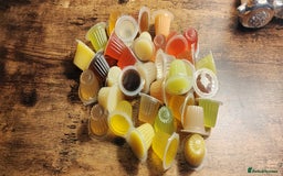 Gecko reptiles for sale: Full setup komodo  - Image 12