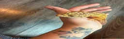 Leopard Gecko reptiles for sale: Community of leopard geckos  - Advert 9