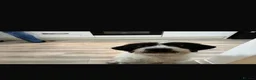 Mixed Breed dogs for sale: Chewy  - Advert 3