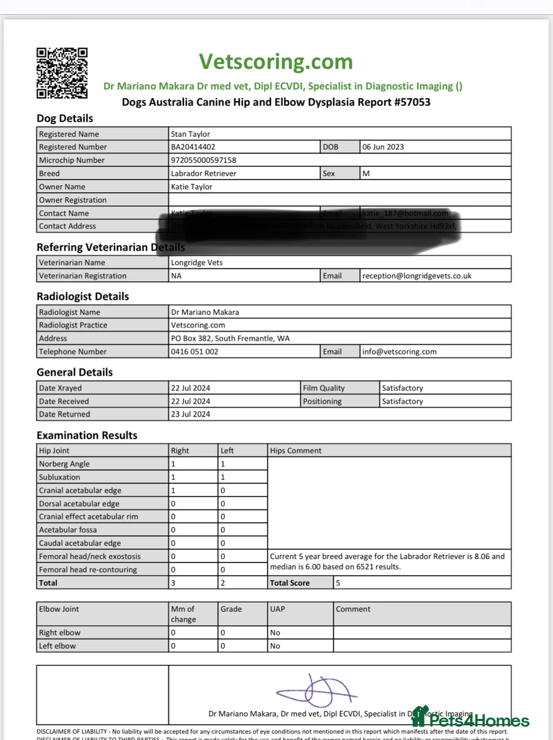 Labrador Retriever dogs for stud: KC & FULLY HEALTH TESTED DOG  in Holmfirth - Advert 5