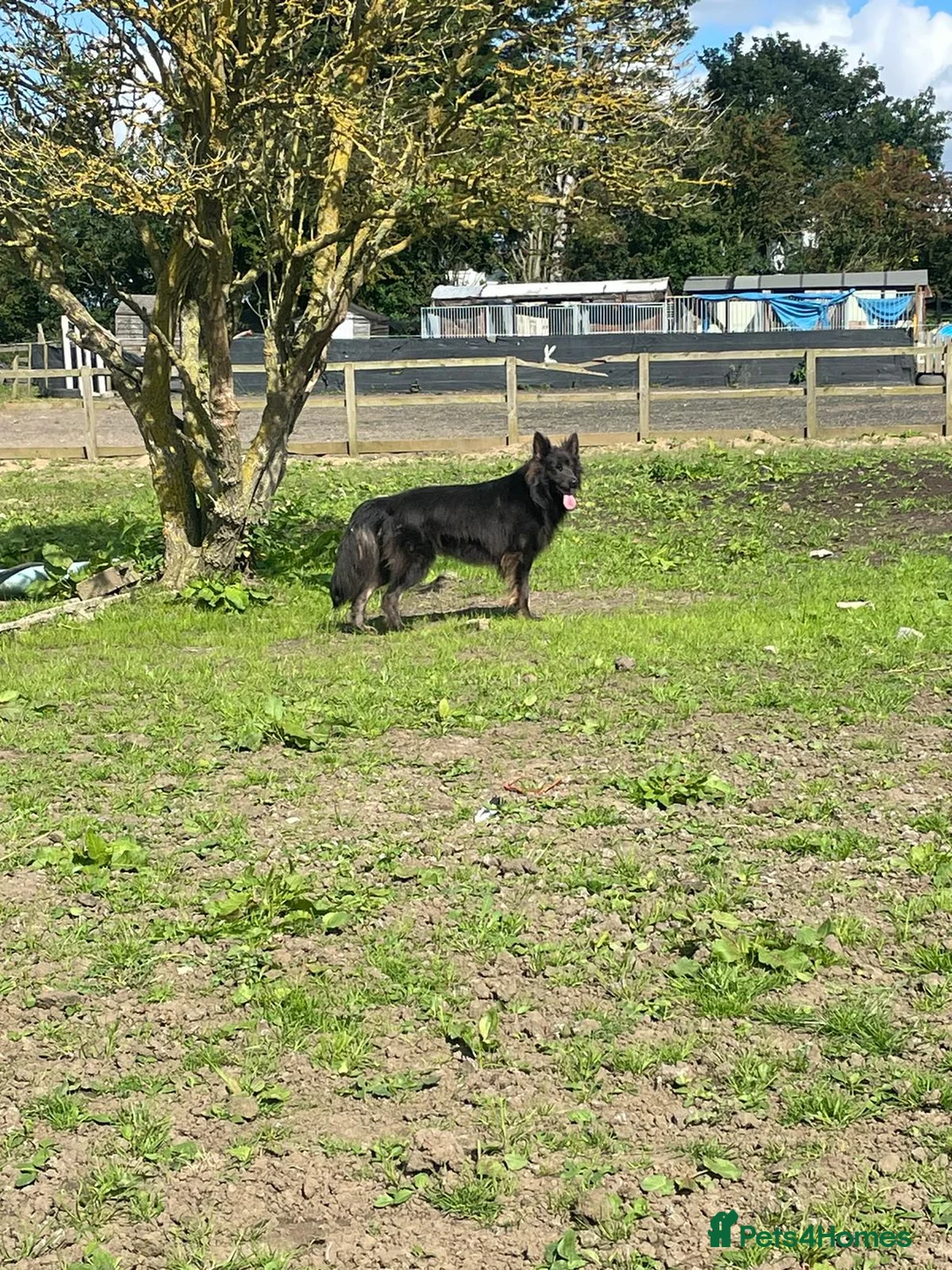 Gallery Image {{count}}