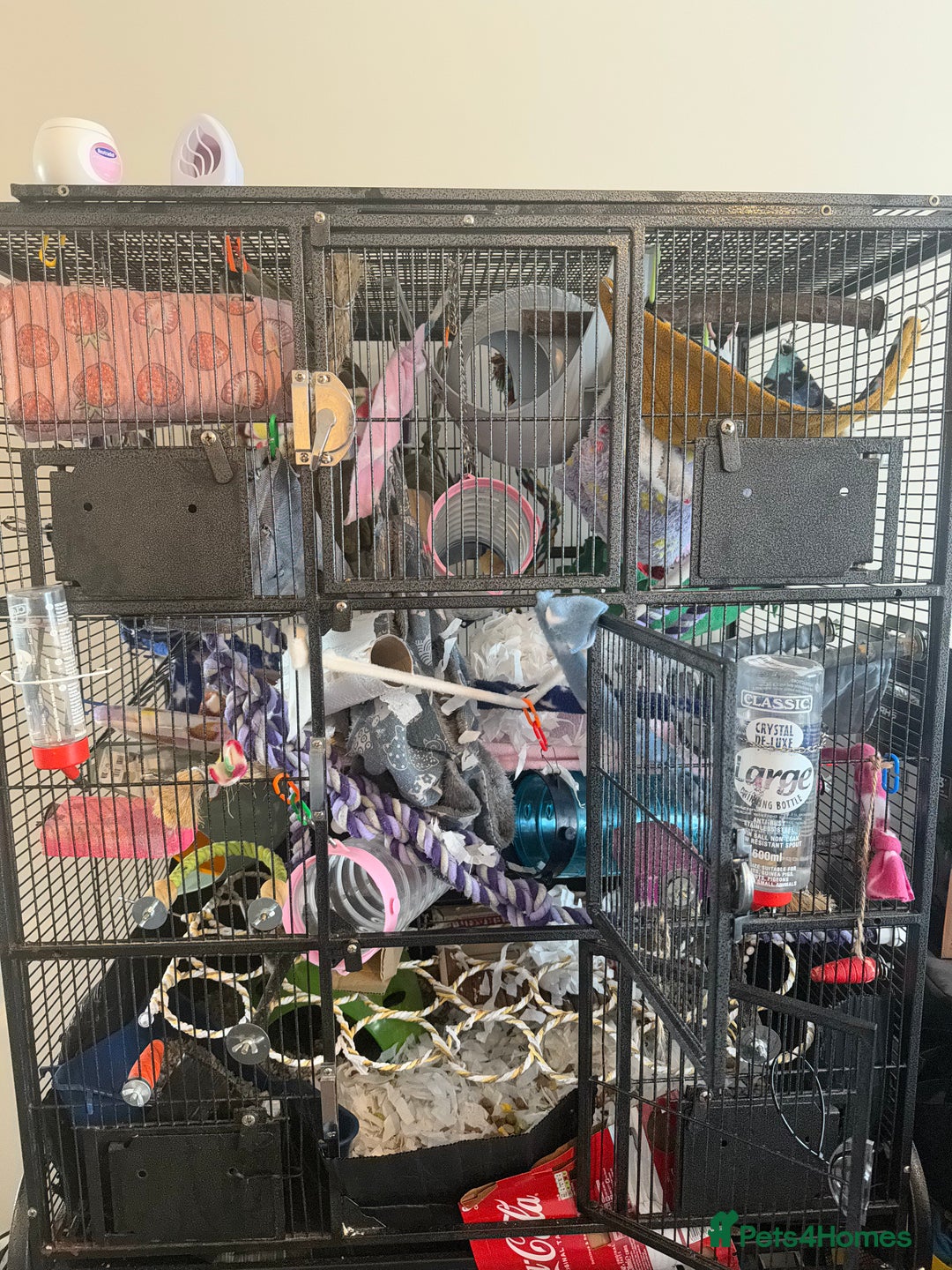 Rat rodents for sale: 3 male rats and massive amount of accessories  - Image 15