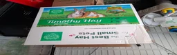 Guinea Pig rodents for sale: 2 x female guinea pigs complete setup - Advert 5