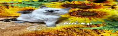 Nicky