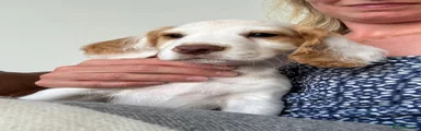 Charlie