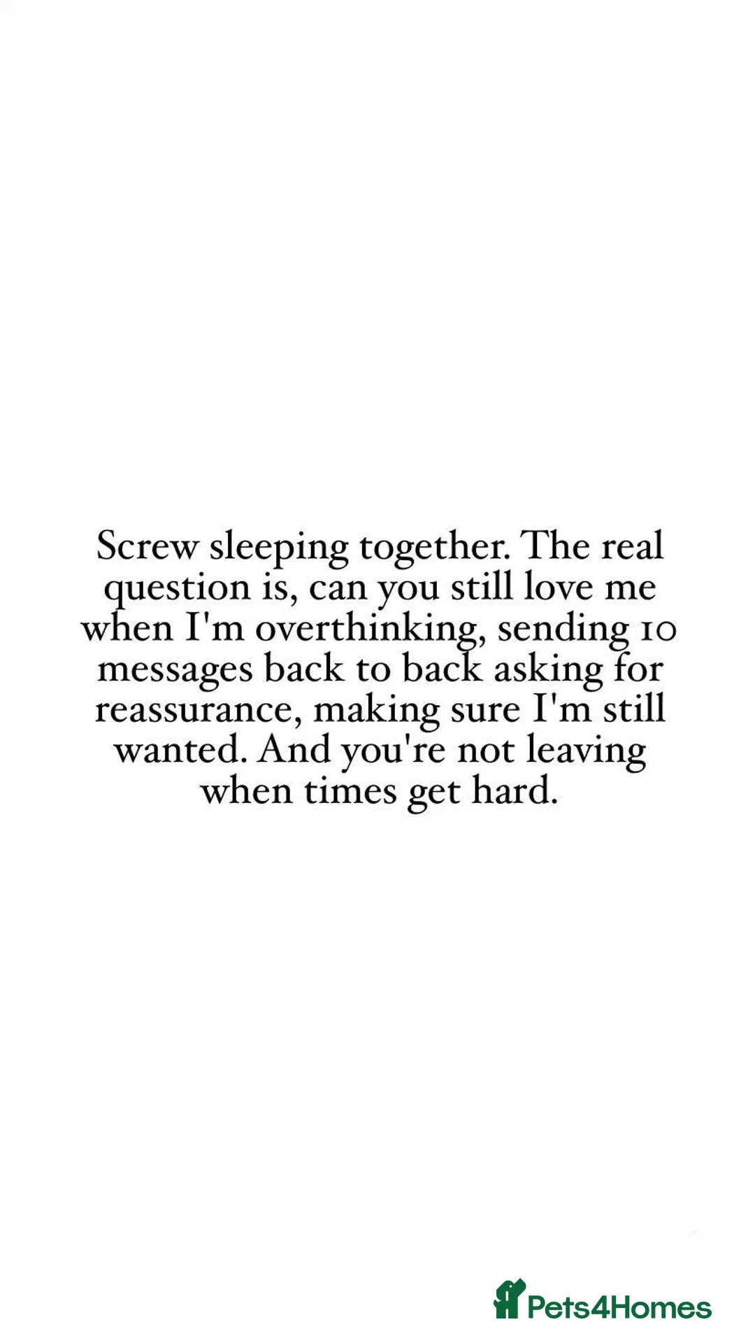 American Bulldog dogs for sale: REHOMING -Lucky  - Advert 2