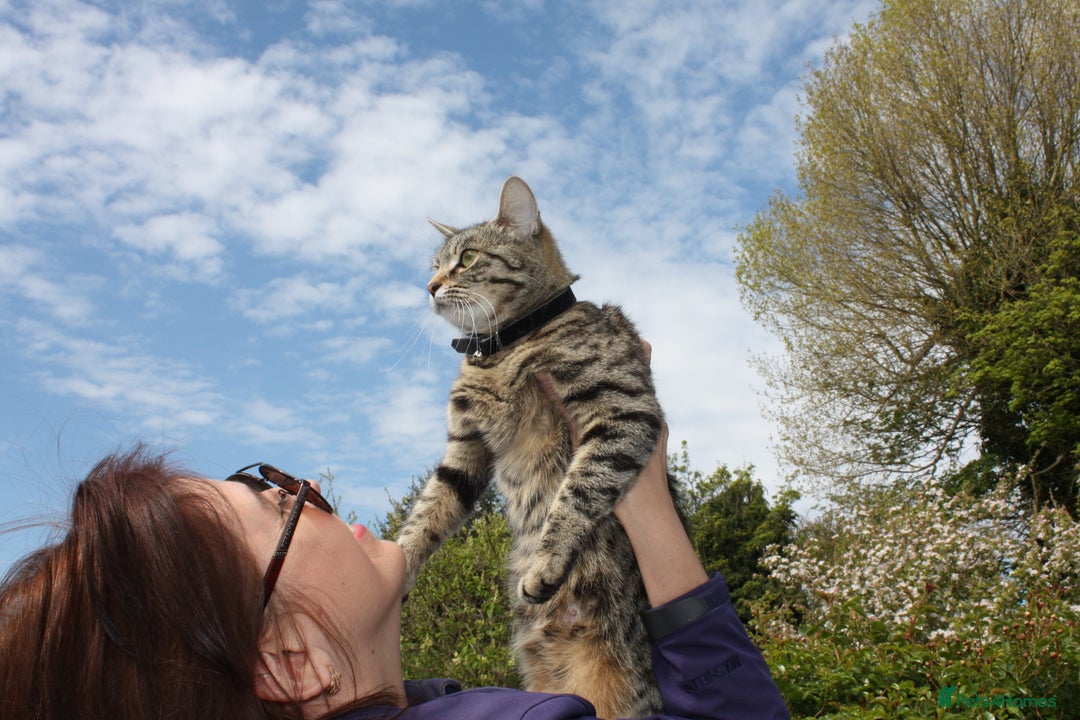 Gallery Image {{count}}