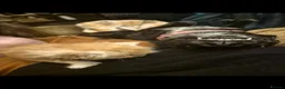 Maine Coon cats for sale: TICA Registered Maine Coons! - Advert 9