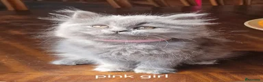 Pink girl