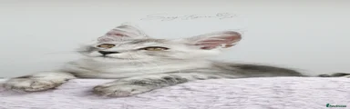 U2