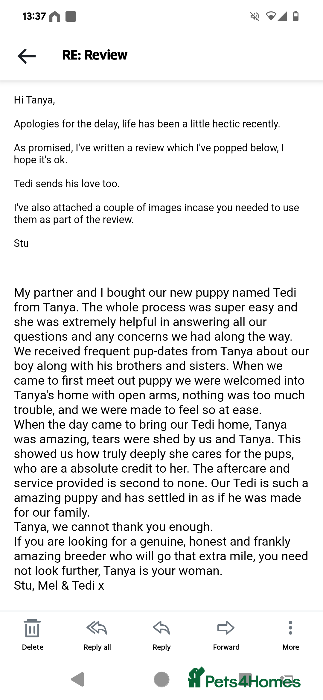 Cavapoo dogs for sale: Beautiful Cavapoo Puppies Available - Advert 7