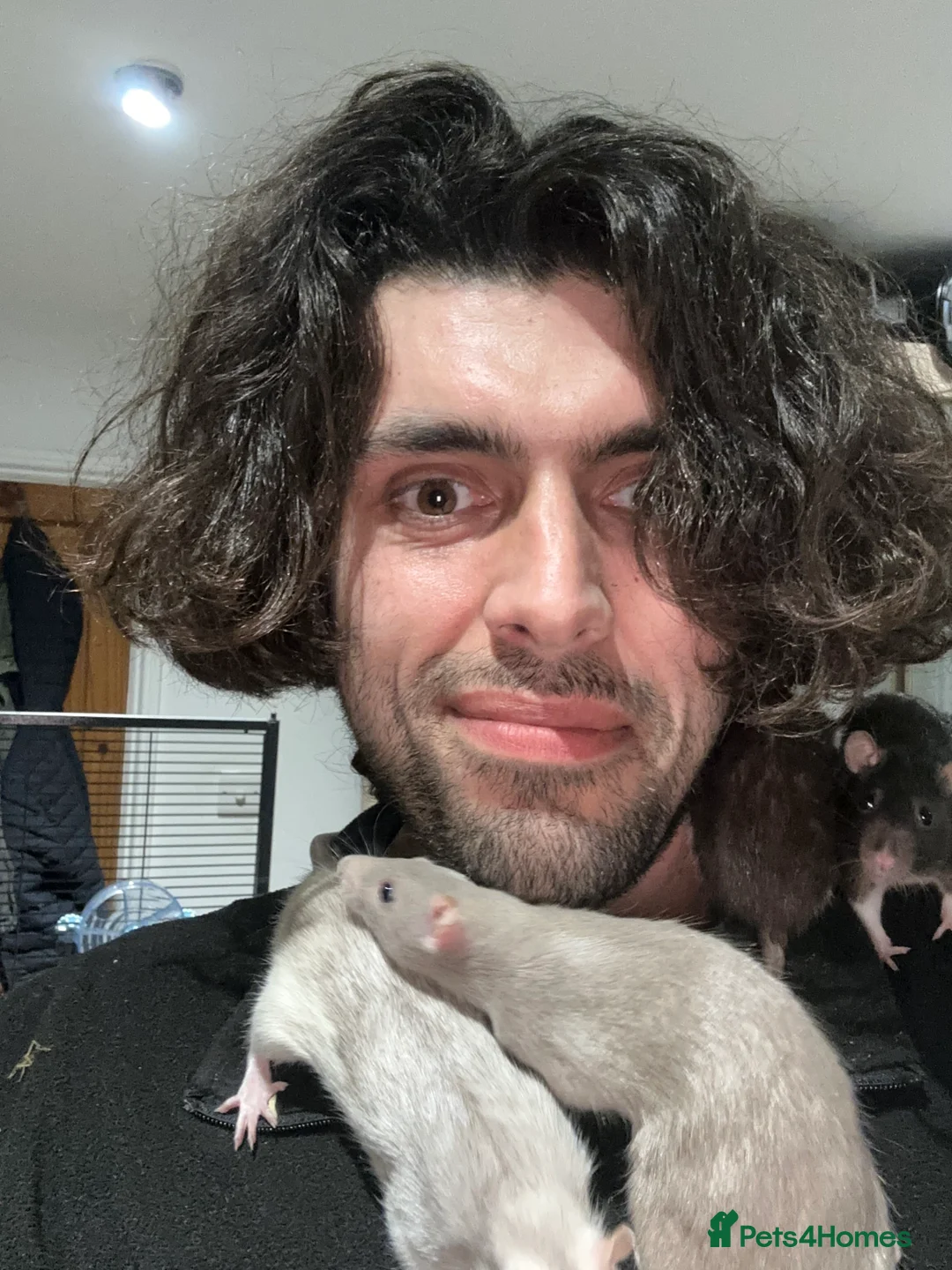 Gallery Image {{count}}