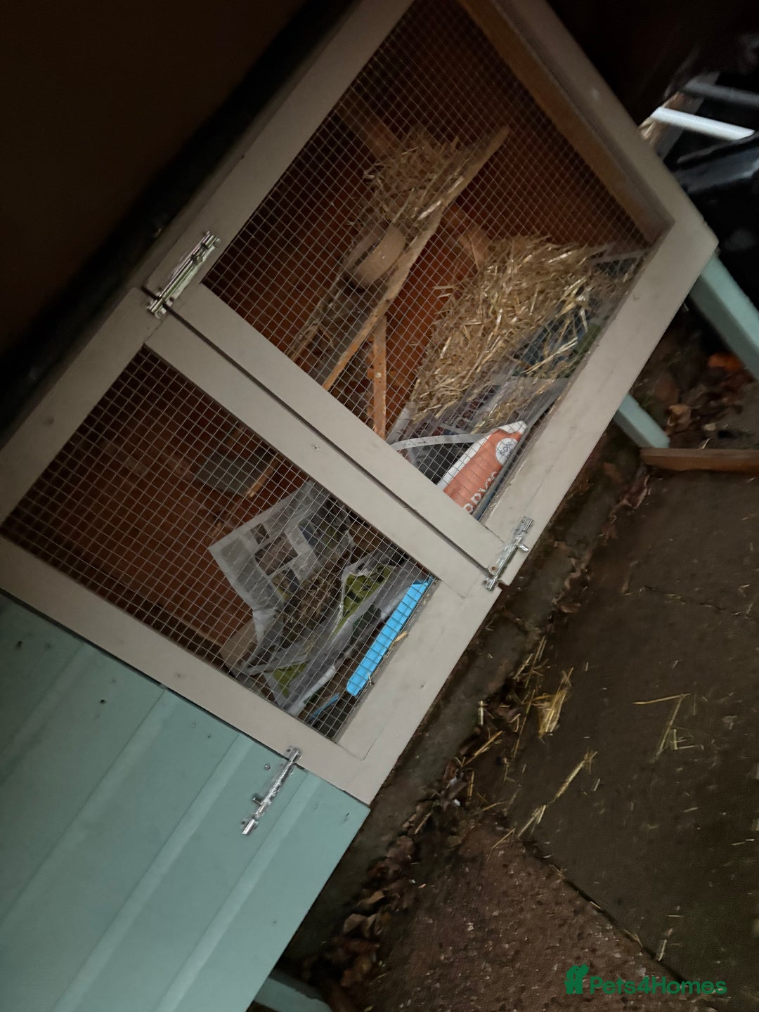 Mixed Breed rabbits for sale: 2 female cross lop eared/long haired rabbits - Advert 2